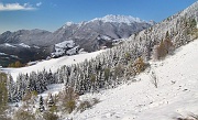 ZUC DI VALBONA - FOTOGALLERY